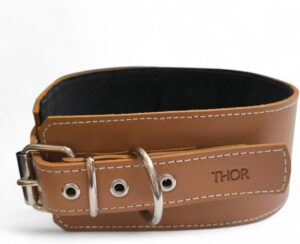 collar para perro premium extra ancho de cuero auténtico 5,5 y 7 cm, con acolchado interior y anillo D soldado, hecho en España, color camel, talla XXL para perros con cuello de 55 a 65 cm