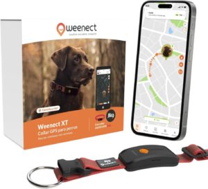 Collar GPS Weenect Dog XT para perros con antena XL, diseño impermeable y collar rojo Julius-K9 ultra resistente, ideal para localizar mascotas en tiempo real durante paseos, excursiones y actividades al aire libre.