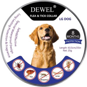 Collar antiparasitario DEWEL contra pulgas y garrapatas para perros ajustado en el cuello de una mascota.