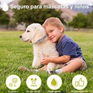 Collar antiparasitario DEWEL contra pulgas y garrapatas para perros ajustado en el cuello de una mascota.