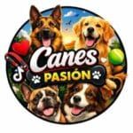 Logotipo de Canes Pasión, collares y correas hechos en España nacidos de las historias reales de Tayro con leishmaniosis y Ginebra con cáncer mamario.