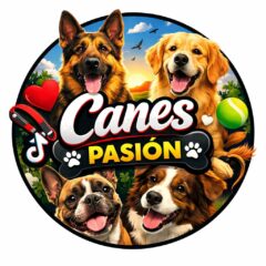 logo canes pasión