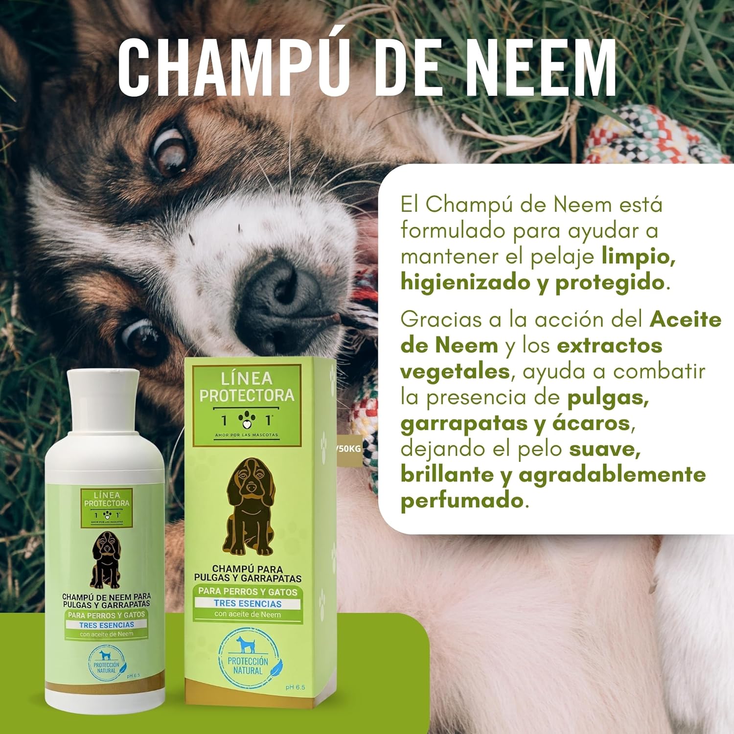 Champú antiparasitario con aceite de neem para perros y gatos control de pulgas y garrapatas