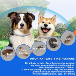 Pack de 4 collares antiparasitarios para perros pequeños en su caja con etiqueta de 24 meses de protección.