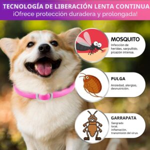 Pack de 4 collares antiparasitarios para perros pequeños en su caja con etiqueta de 24 meses de protección.