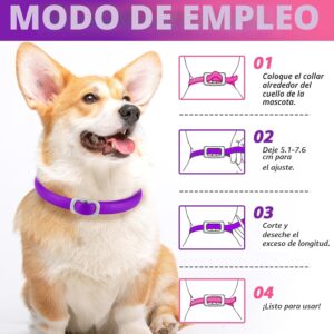 Collar antiparasitario ajustable color morado y rosa
