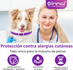 Collar antiparasitario para perro pequeño de color morado ajustable e impermeable para protección de 6 meses por unidad.