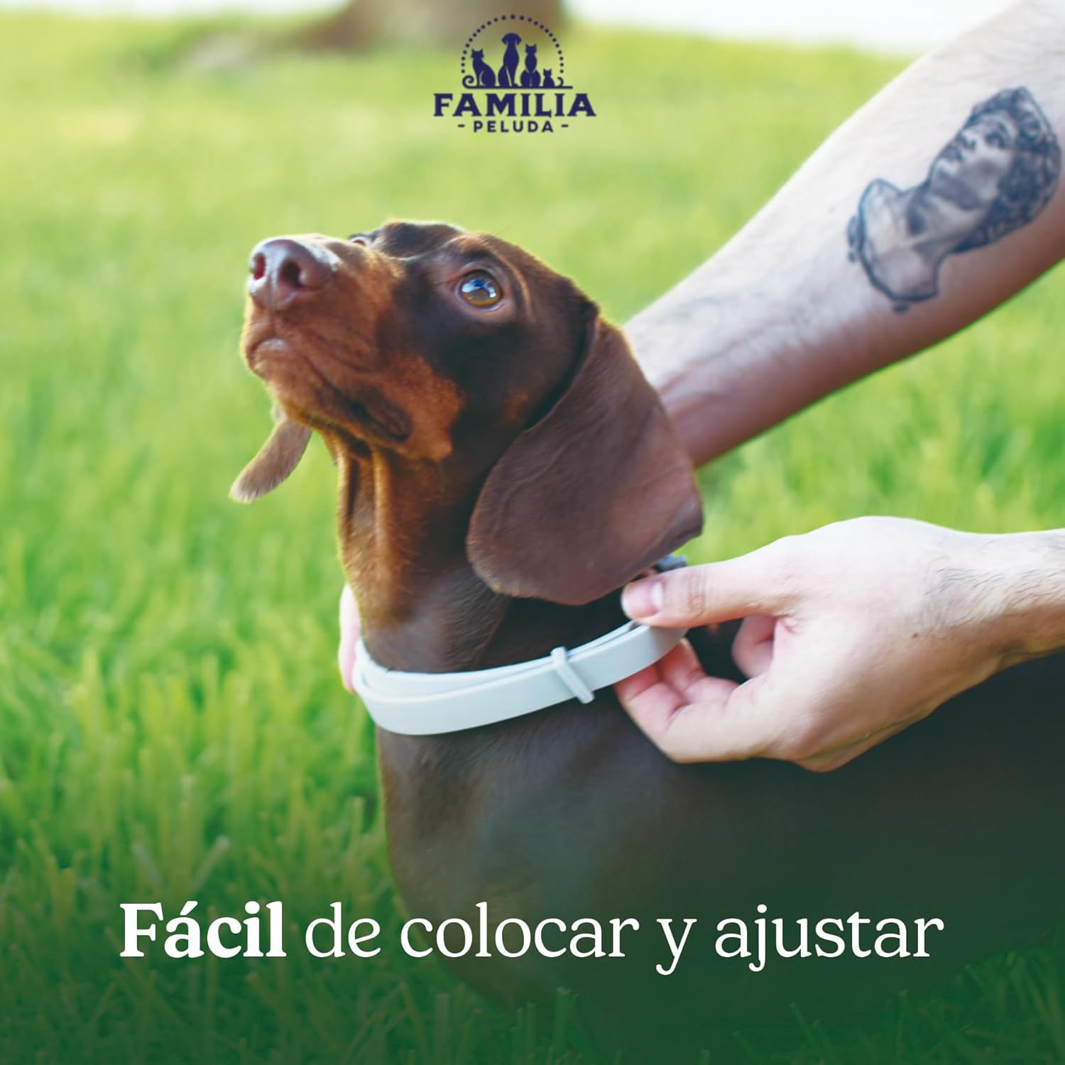 Collar antiparasitario para perros contra pulgas, garrapatas y mosquitos, protección contra leishmaniosis, ajustable 63 cm