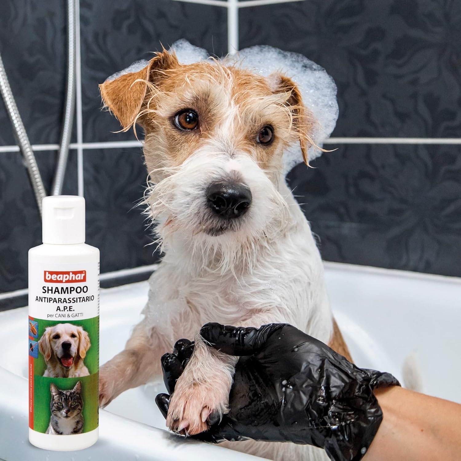 Champú antiparasitario Beaphar A.P.E. 200 ml para perros y gatos contra pulgas y otros parásitos