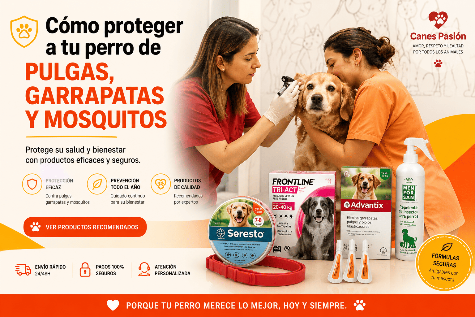 Ilustración de Ginebra durante una revisión veterinaria para el cuidado de su salud y la prevención de enfermedades en perros.