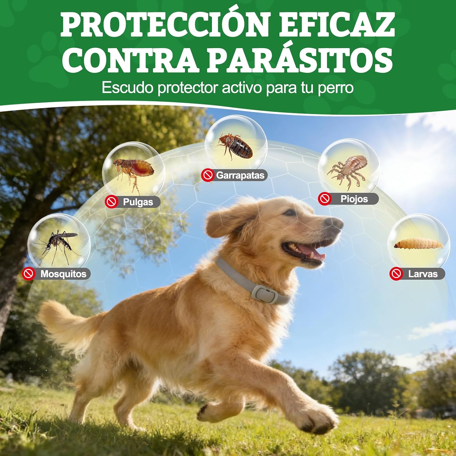 Collar antiparasitario natural BoYata de aceites esenciales para perros en pack de dos unidades.