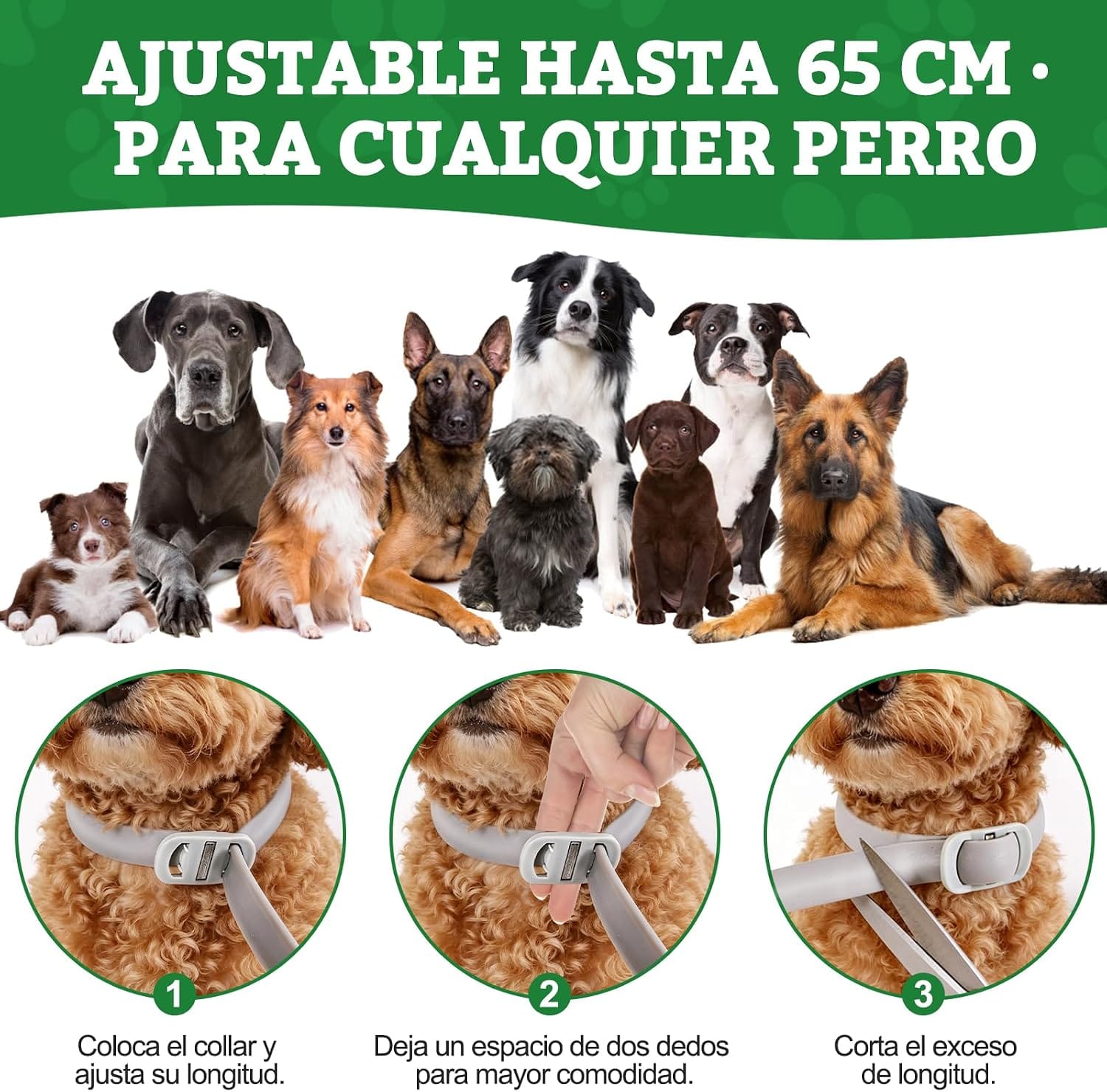 Collares para proteger a los perros frente a parásitos