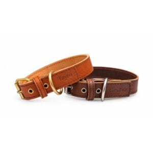 collar de cuero vacuno grabado a fuego
