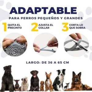 Collar antiparasitario para perros ajustable