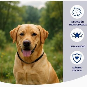 Collar antiparasitario para perros pack 3 color negro, pulgas, garrapatas